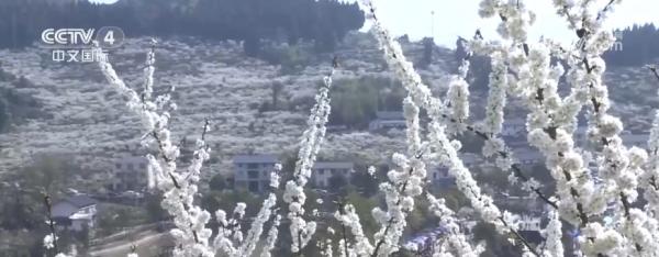 非遗千载“井”上添花文旅融合鼓了村民荷包、美了生活环境