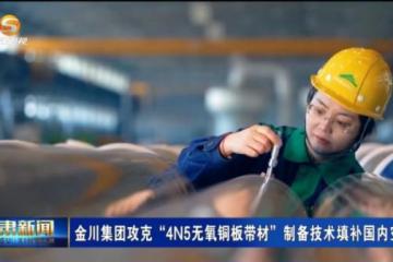 '金川新观：“4N5无氧铜板带材”制备技术填补国内空白